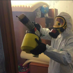 Уничтожение клопов в квартире. Кронштадт